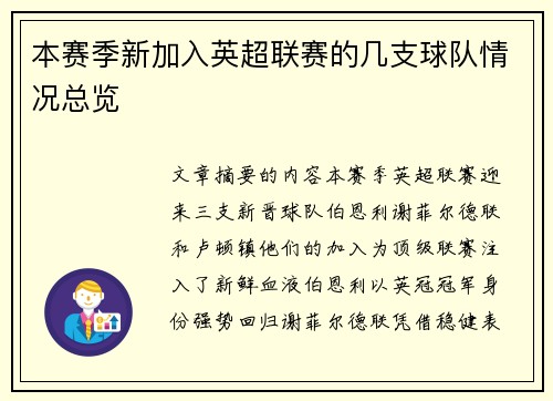 本赛季新加入英超联赛的几支球队情况总览