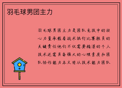 羽毛球男团主力